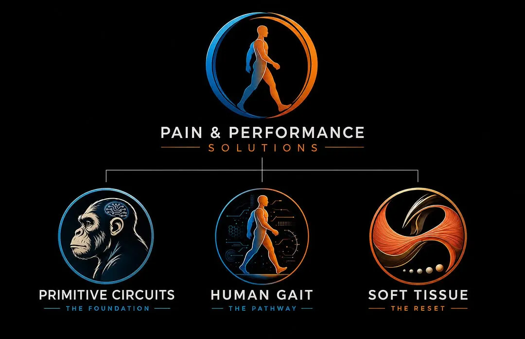 Pain & Performance Solutions: Primitive Circuits, Human Gait, Soft Tissue