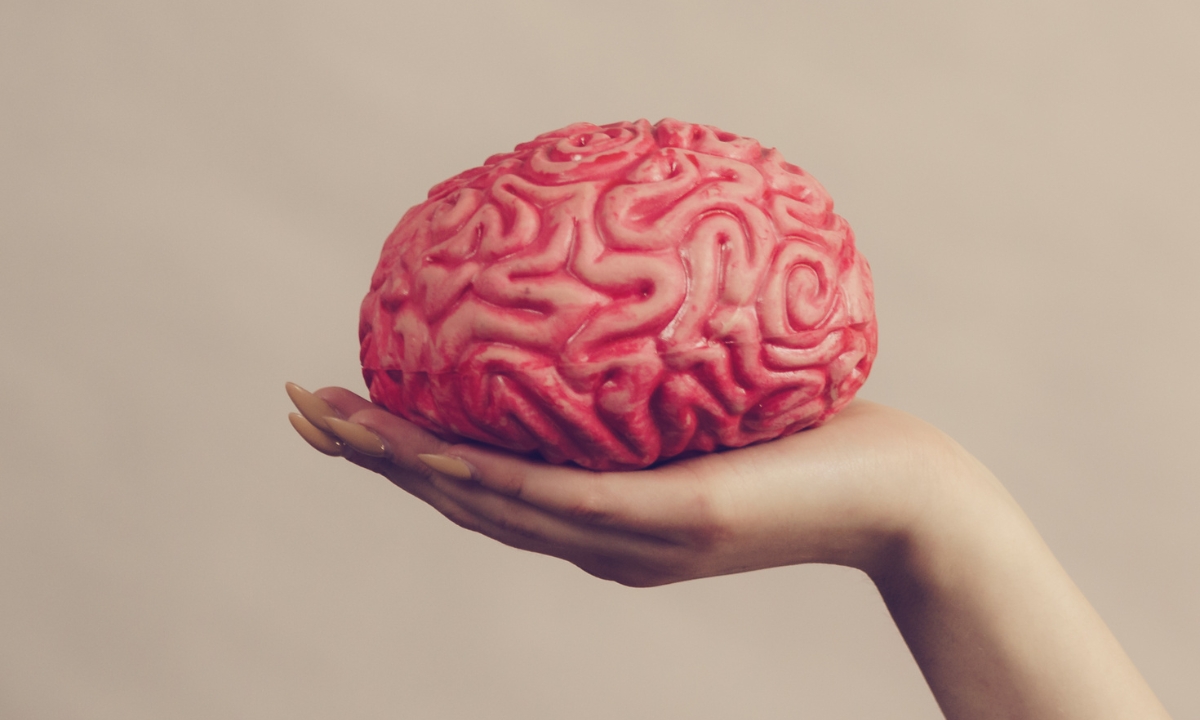 a pale hand holding a foam brain