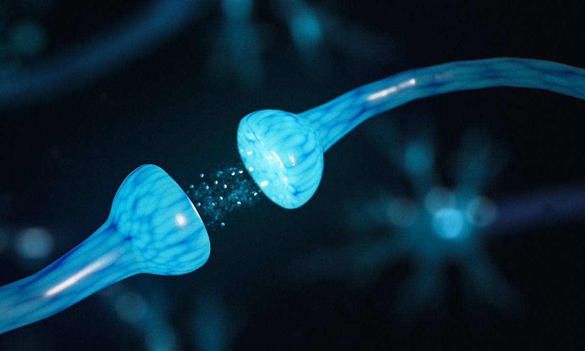 neurons