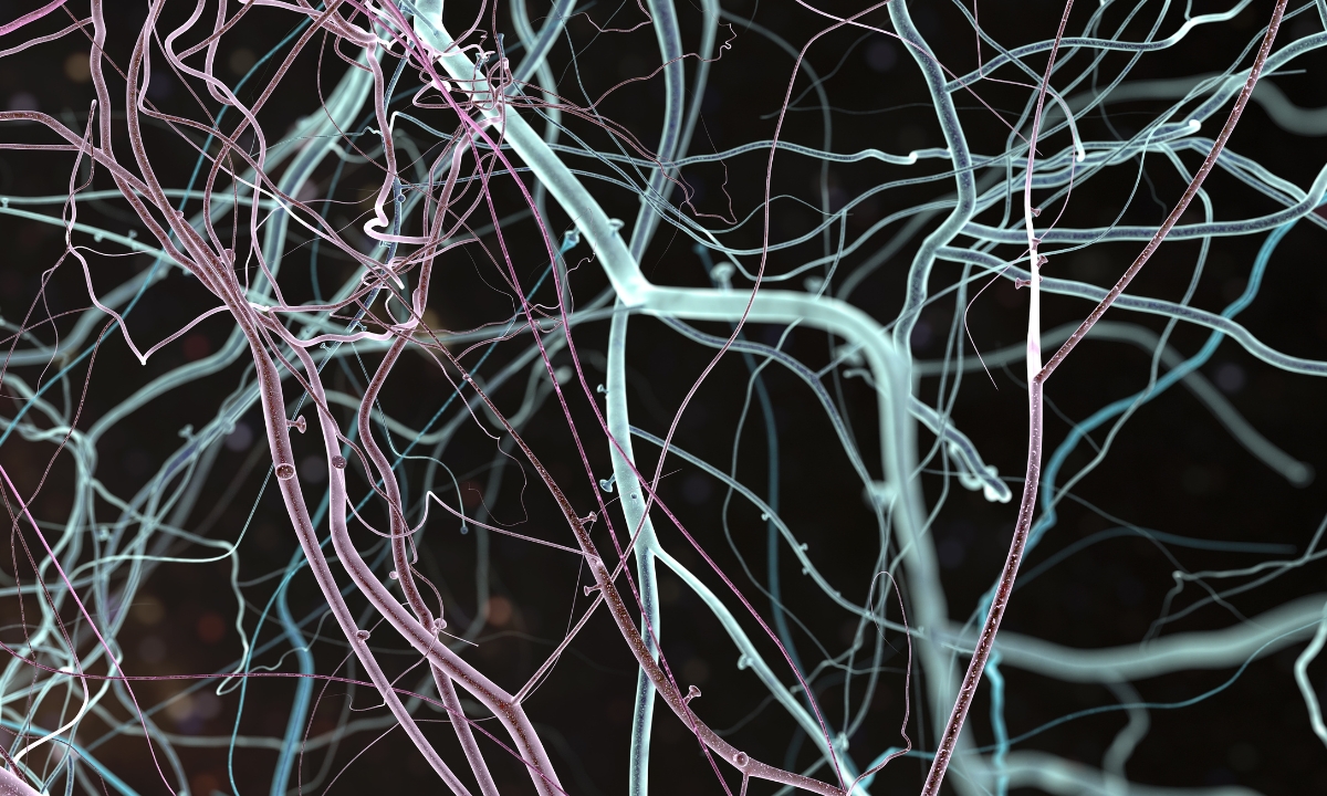Unlocking Athletic Potential with Neurokinetic Therapy (NKT): A Guide for Coaches