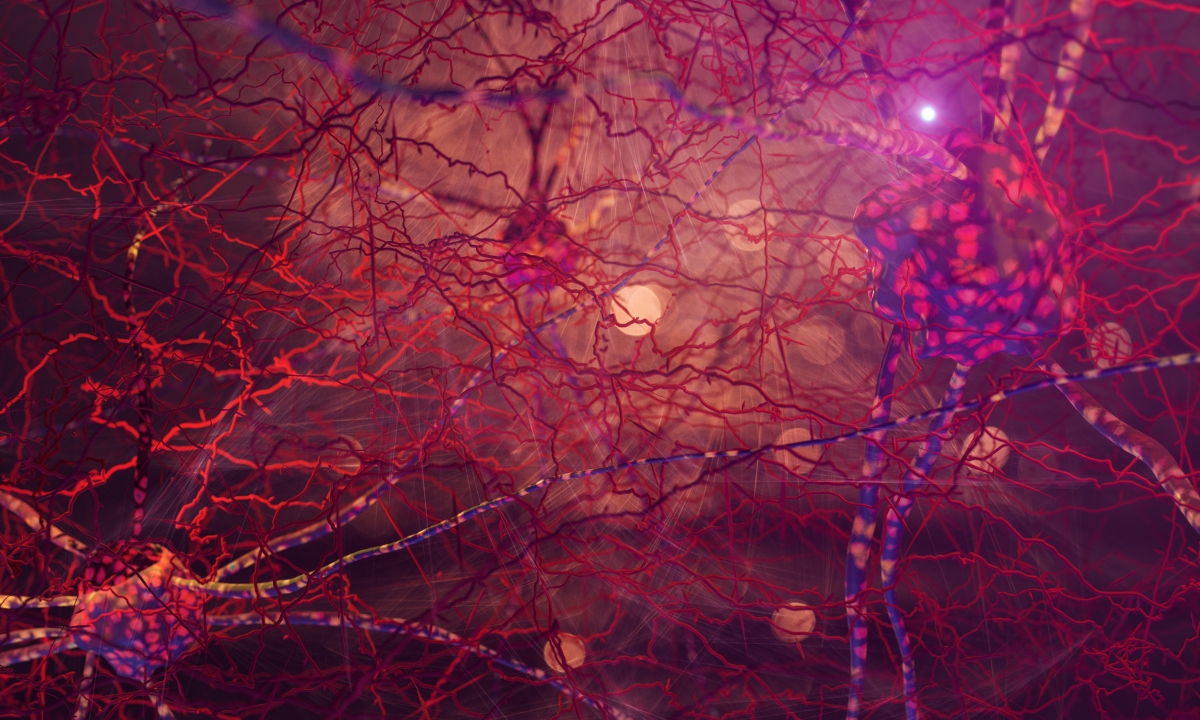 Breaking the Cycle: How NKT™ Can Help You Overcome Chronic Pain for Good