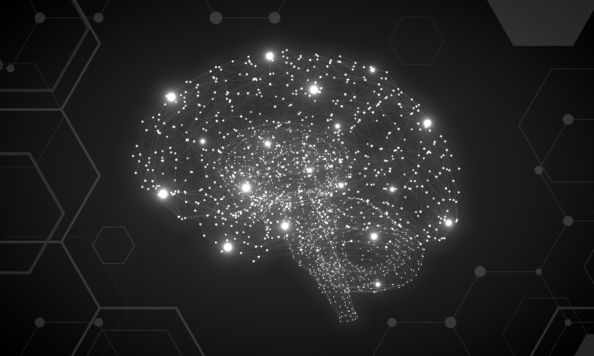 The Link Between Your Muscles and Your Brain: A Critical Connection