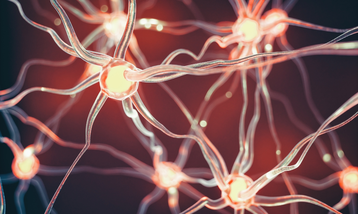 How Proprioceptive – Deep Tendon Reflex (P-DTR) can help with muscle pain