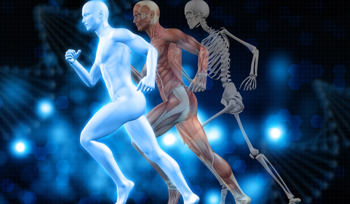 The Science Behind Proprioceptive Deep Tendon Reflex (P-DTR) and Musculoskeletal Health