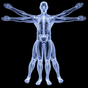 treating back pain with anatomy in motion