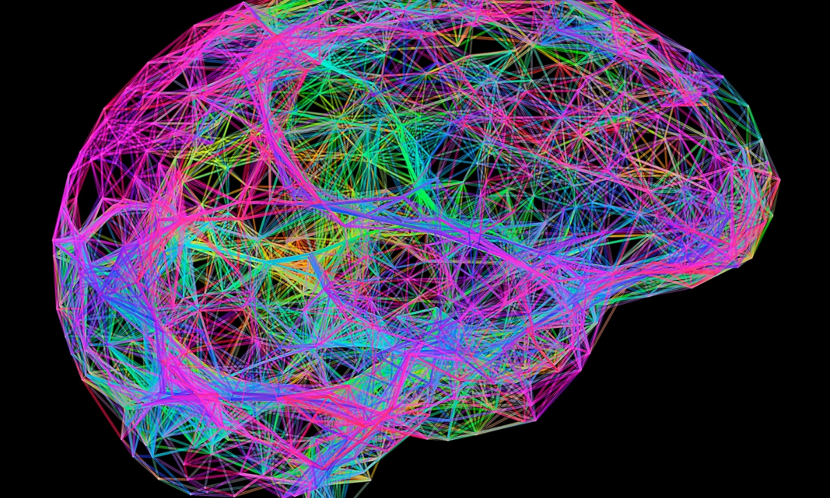 a multicolored and eclectic figure of the human brain made of lines